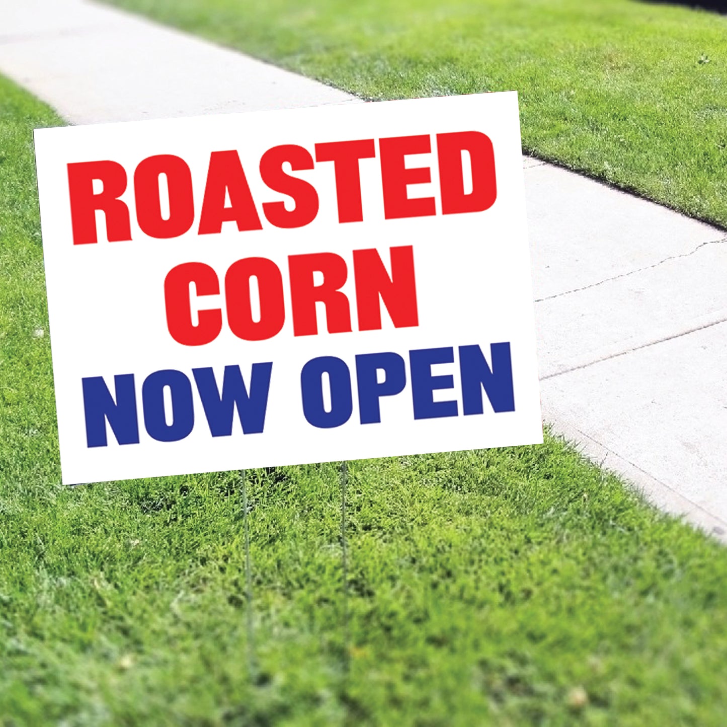 Roasted Corn Now Open Coroplast Yard Sign