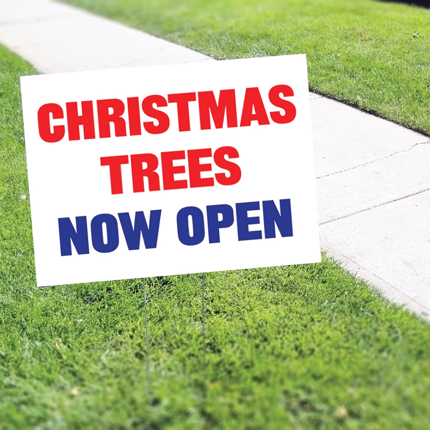 Christmas Trees Now Open Coroplast Yard Sign