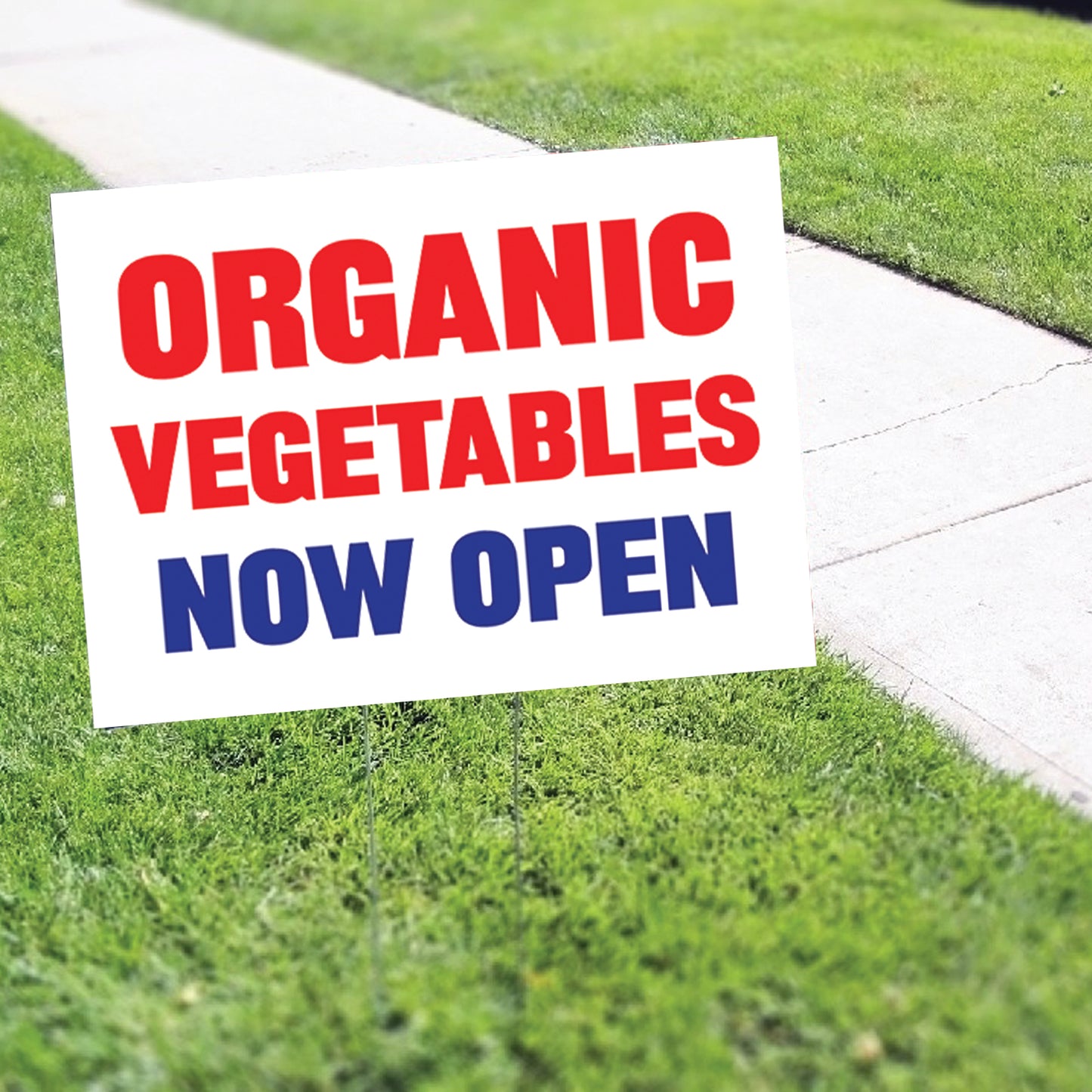 Organic Vegetables Now Open Coroplast Yard Sign