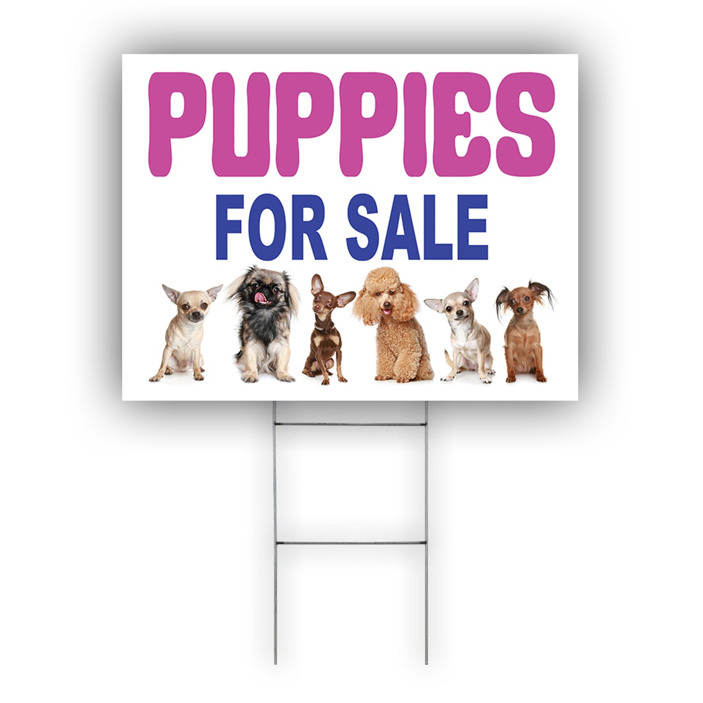 Puppies for sale coroplast yard sign