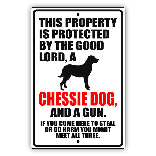 This property is protected by the good lord a chessie dog and a gun aluminum metal sign