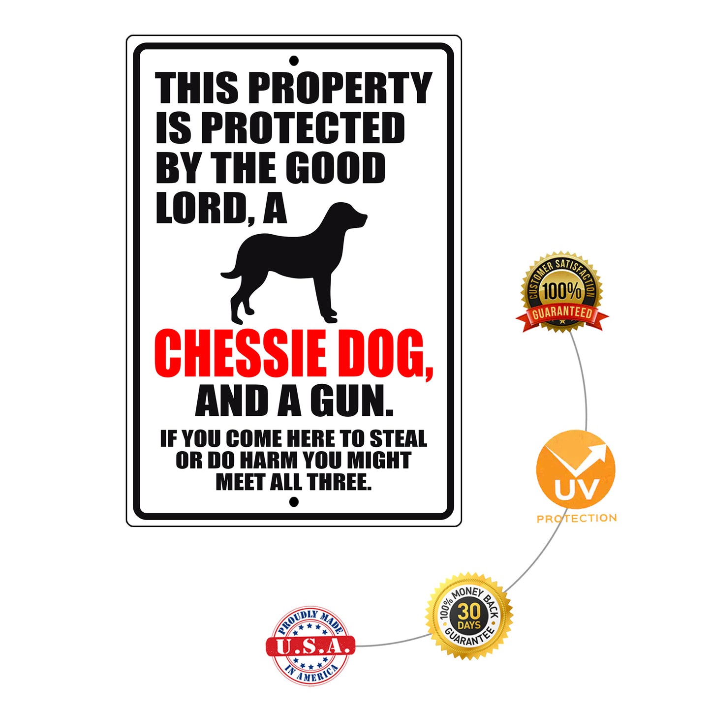 This property is protected by the good lord a chessie dog and a gun aluminum metal sign
