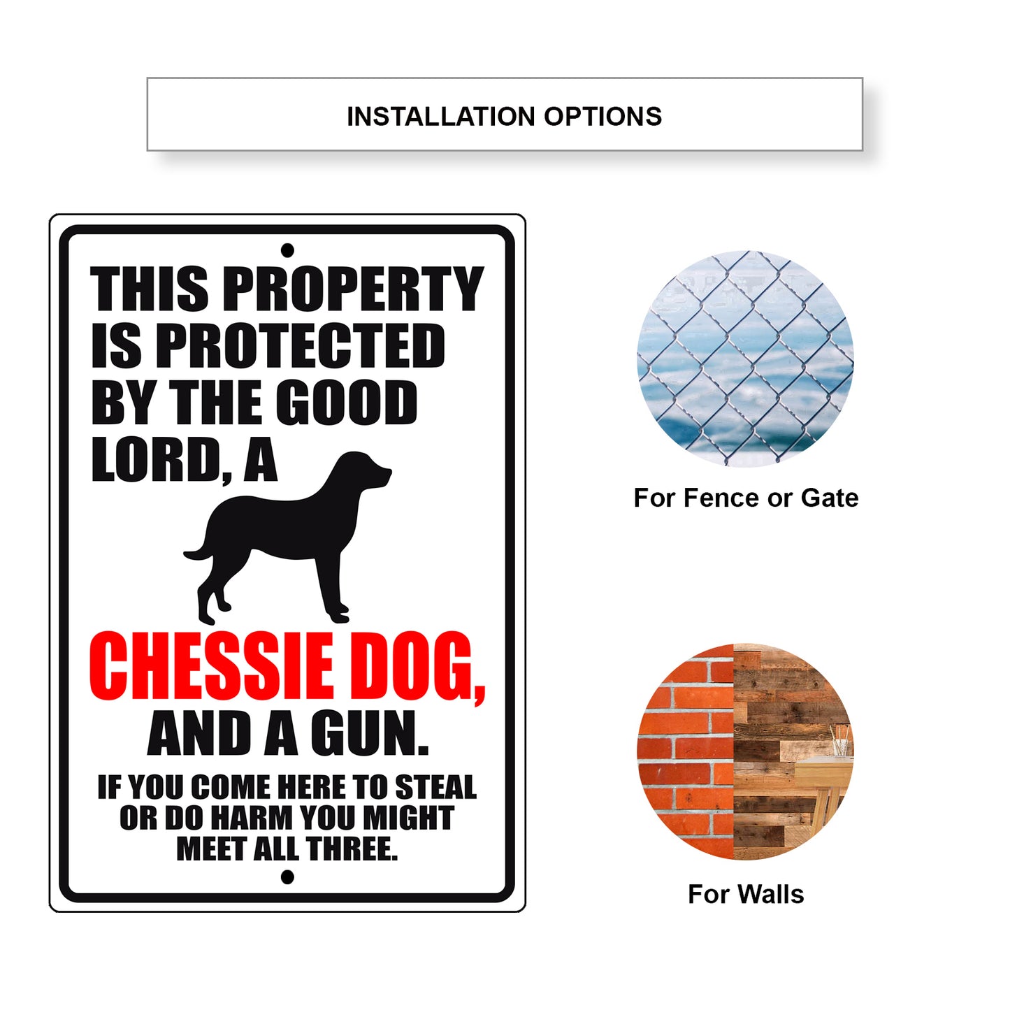 This property is protected by the good lord a chessie dog and a gun aluminum metal sign
