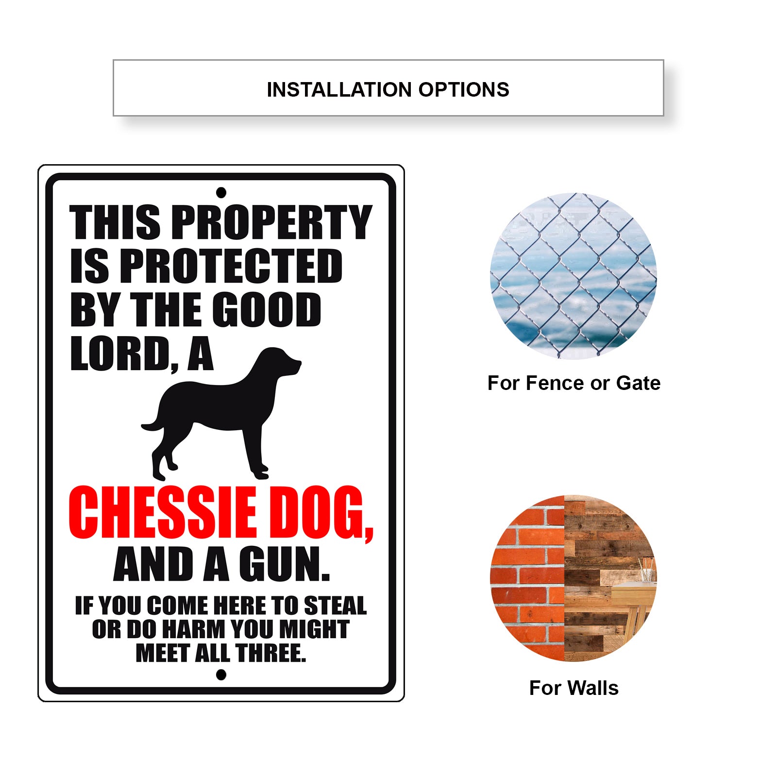 This property is protected by the good lord a chessie dog and a gun aluminum metal sign