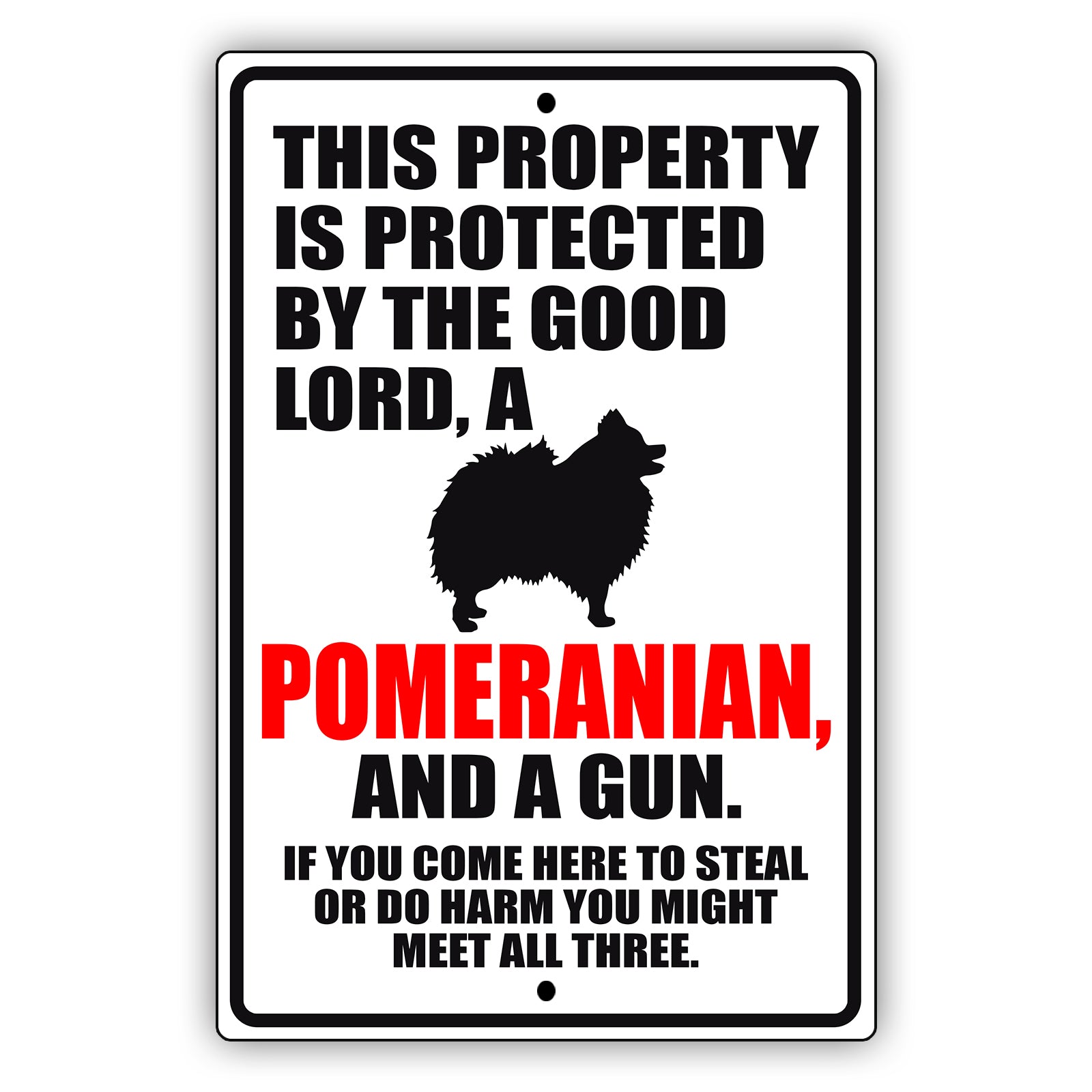 This property is protected by the good lord a pomeranian and a gun aluminum metal sign
