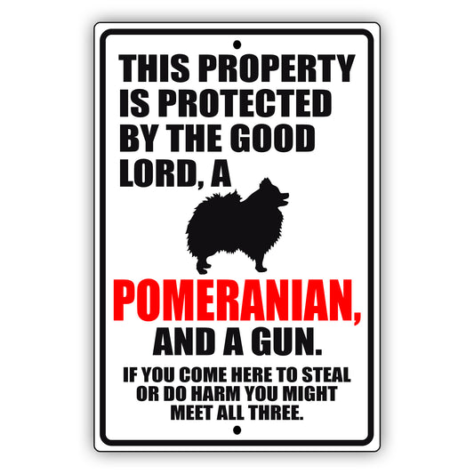 This property is protected by the good lord a pomeranian and a gun aluminum metal sign