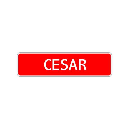Cesar Street Sign Children Name Room Plate