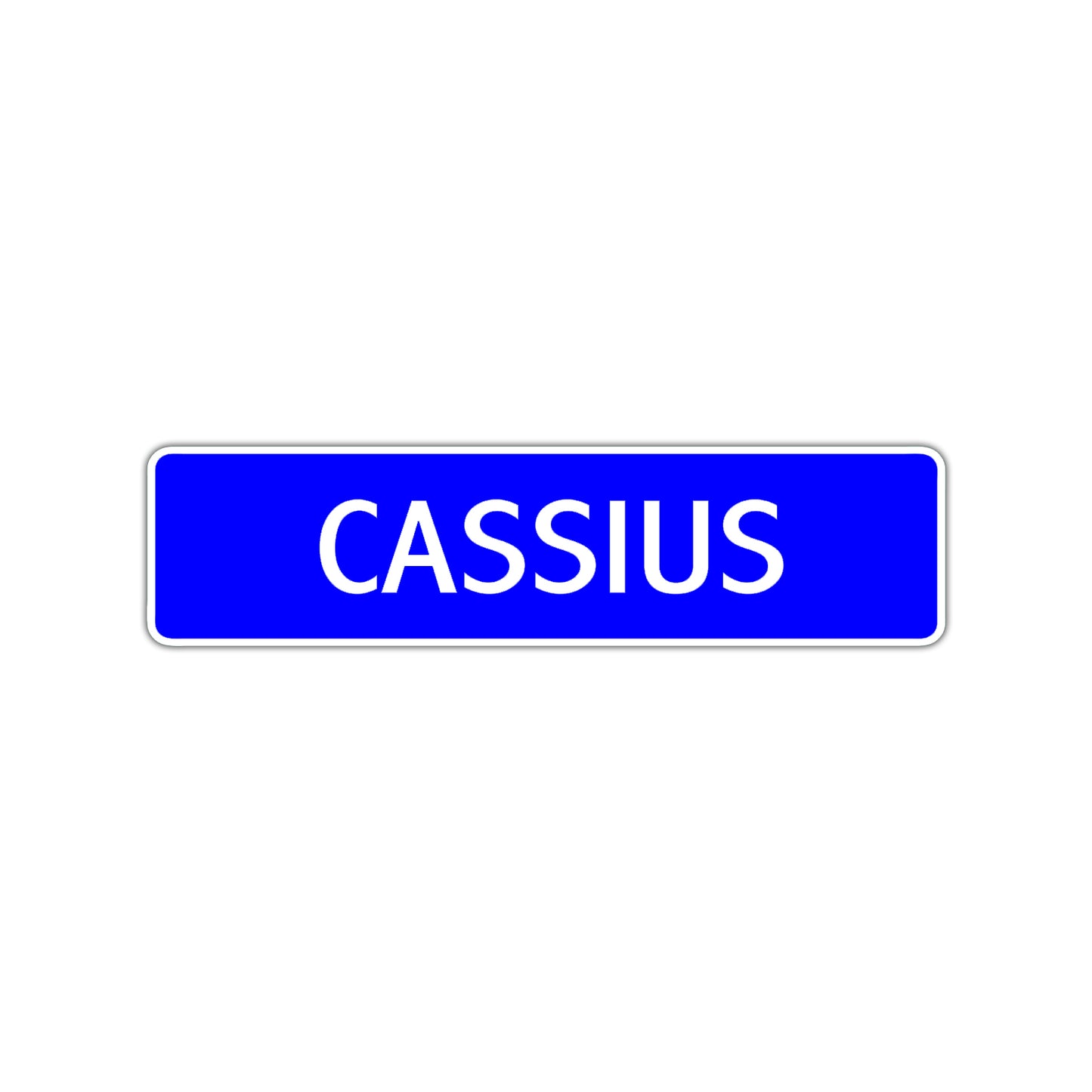 Cassius Street Sign Children Name Room Plate