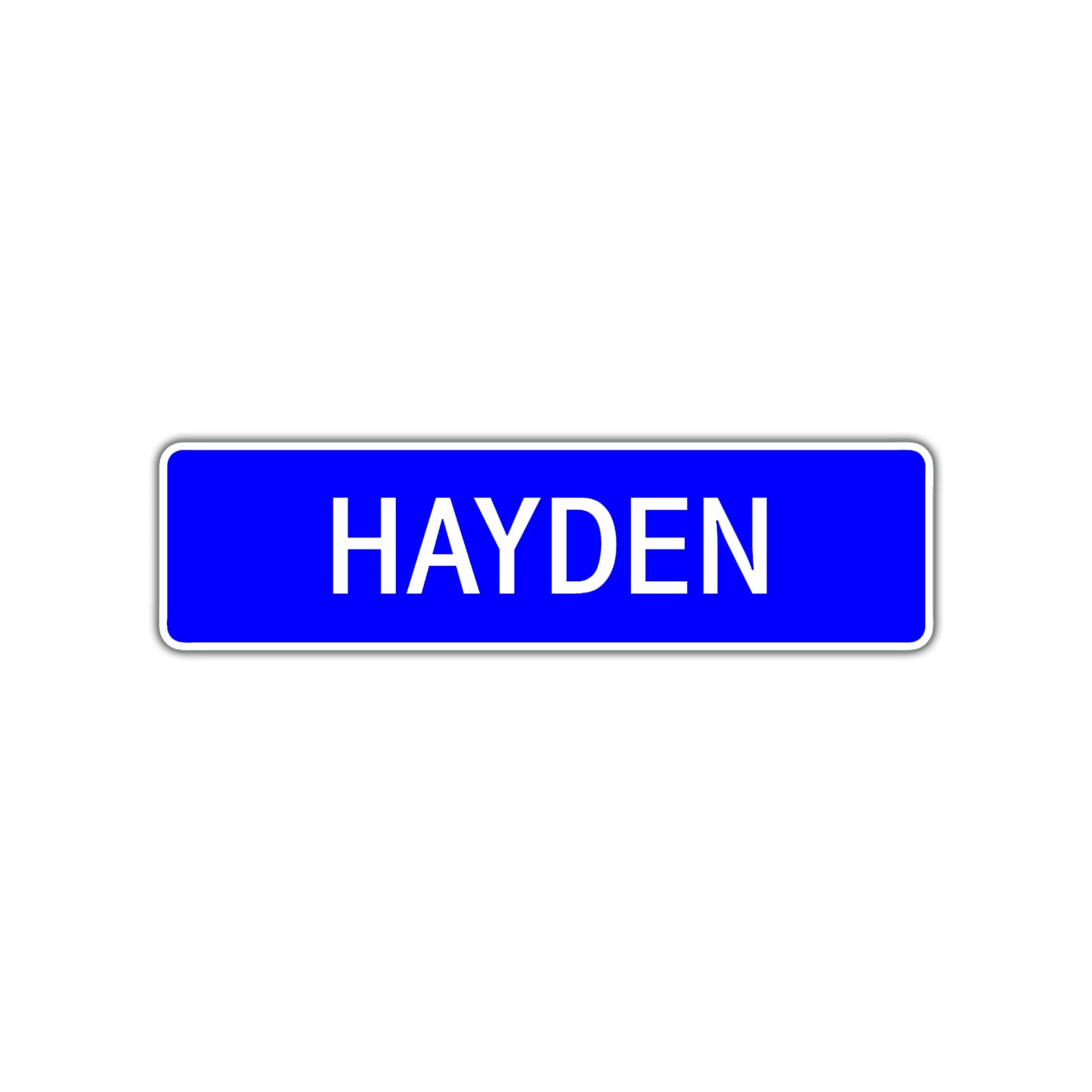 Hayden Street Sign Children Name Room Plate