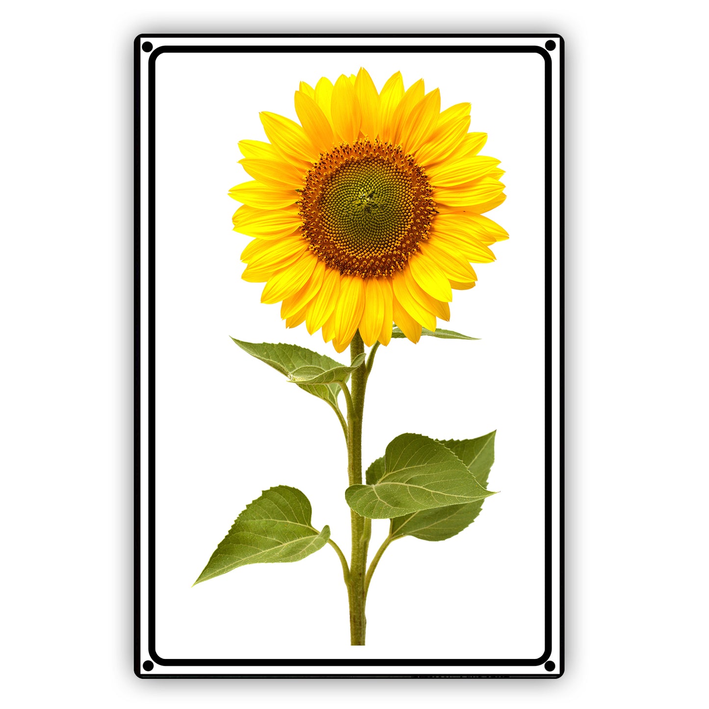 Sun Flower Artistic Aluminum Vintage Sign