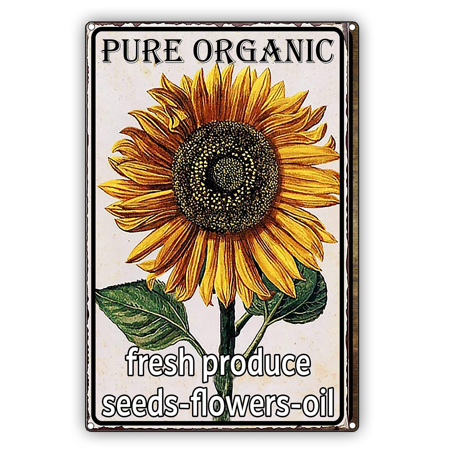 Pure Organic Fresh Produce Seeds-Flower-Oil Sun Flower Graphic Vintage Sign