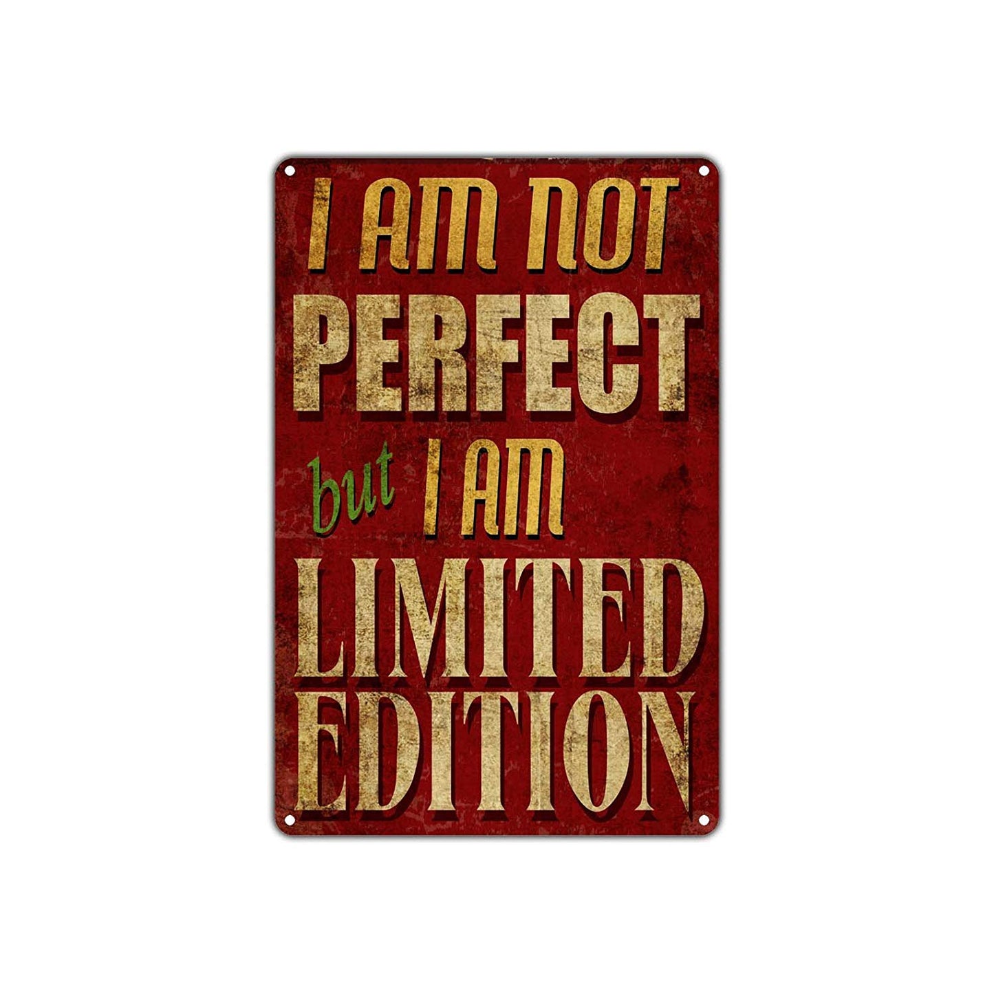 I am Not Perfect But I am Limited Edition Vintage Retro Wall Decor Art Shop Garage Aluminum