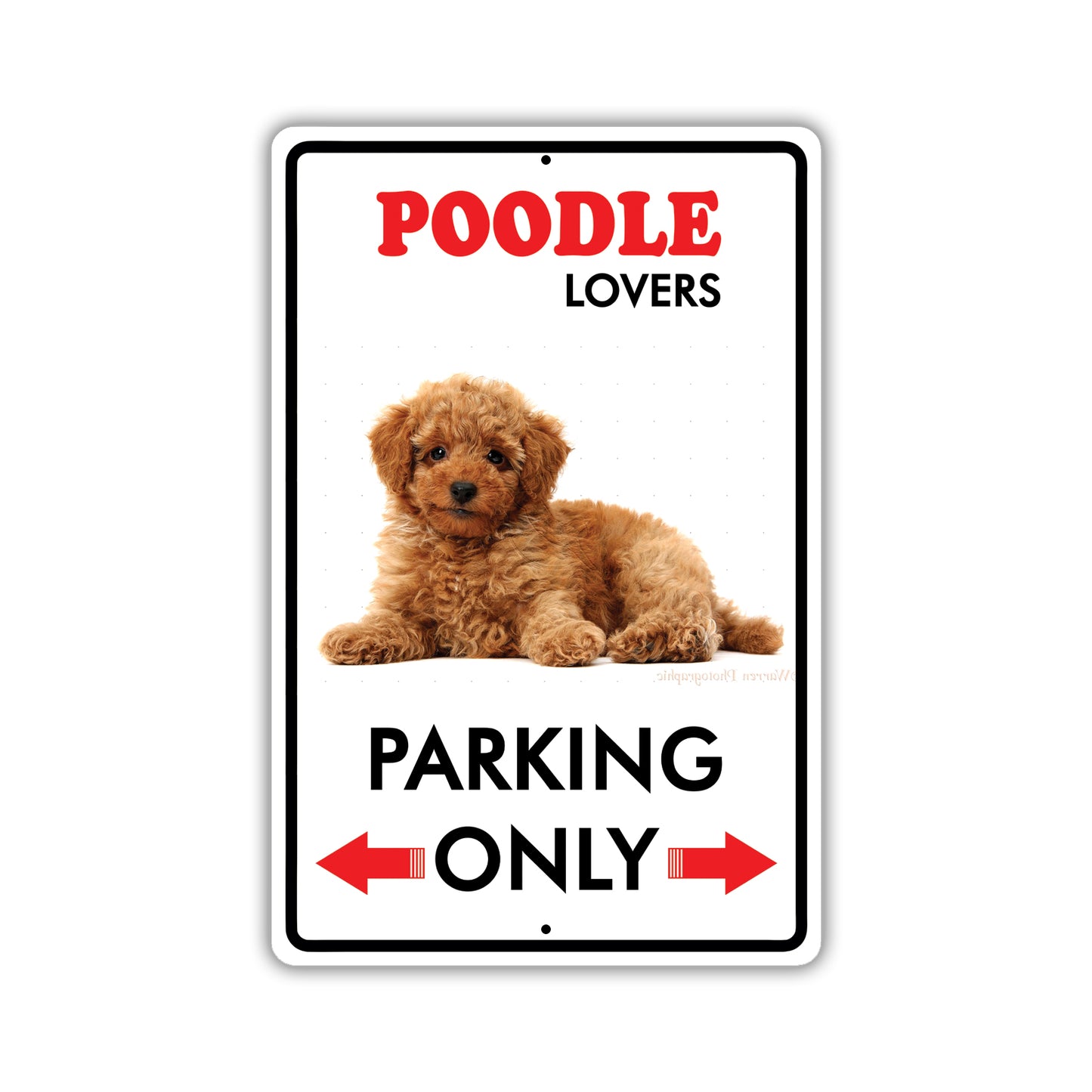 Beware! Guard Poodle On Duty Dog Sign