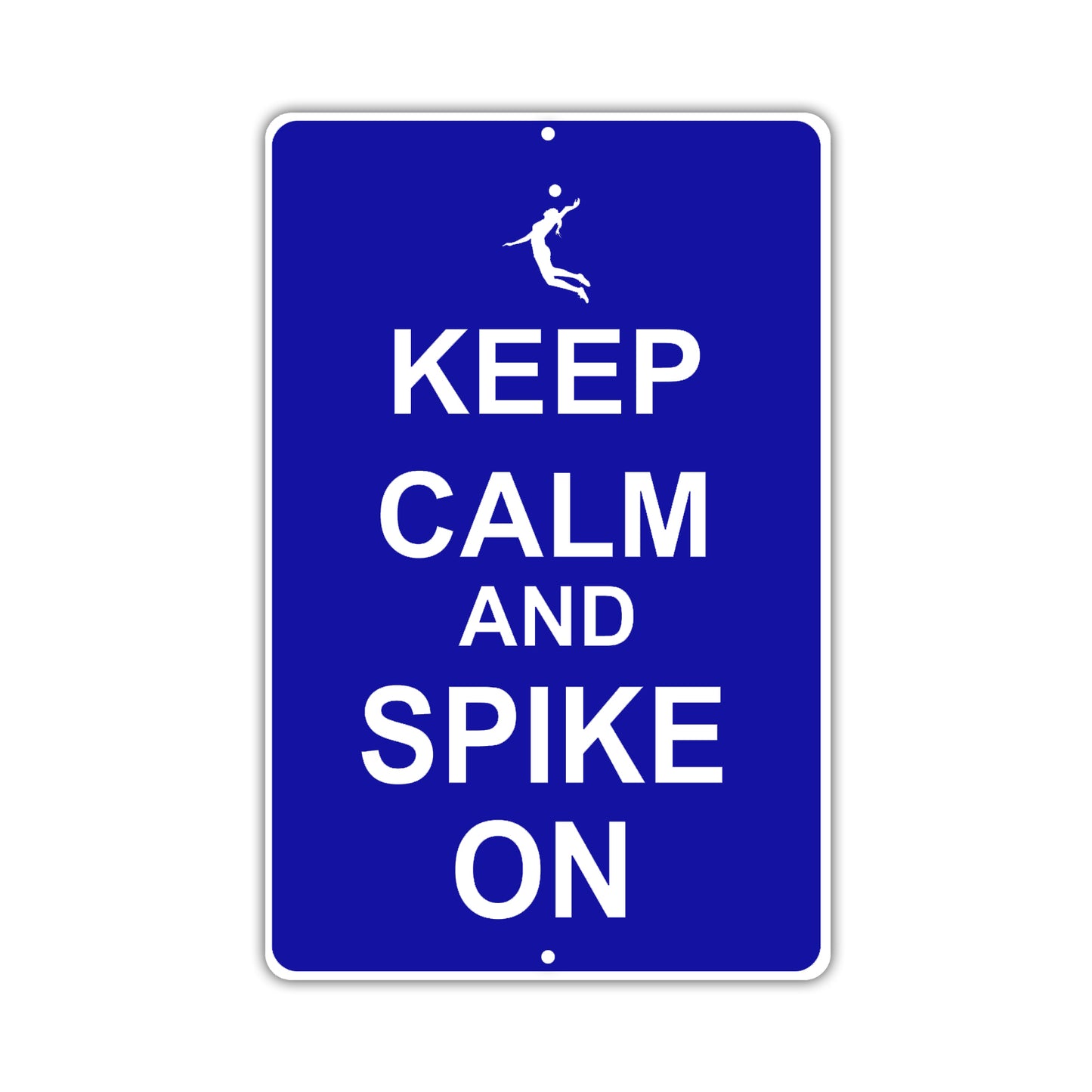 Keep Calm And Spike On With Humor Jokes Funny Gags Novelty Caution Alert Warning Aluminum Sign