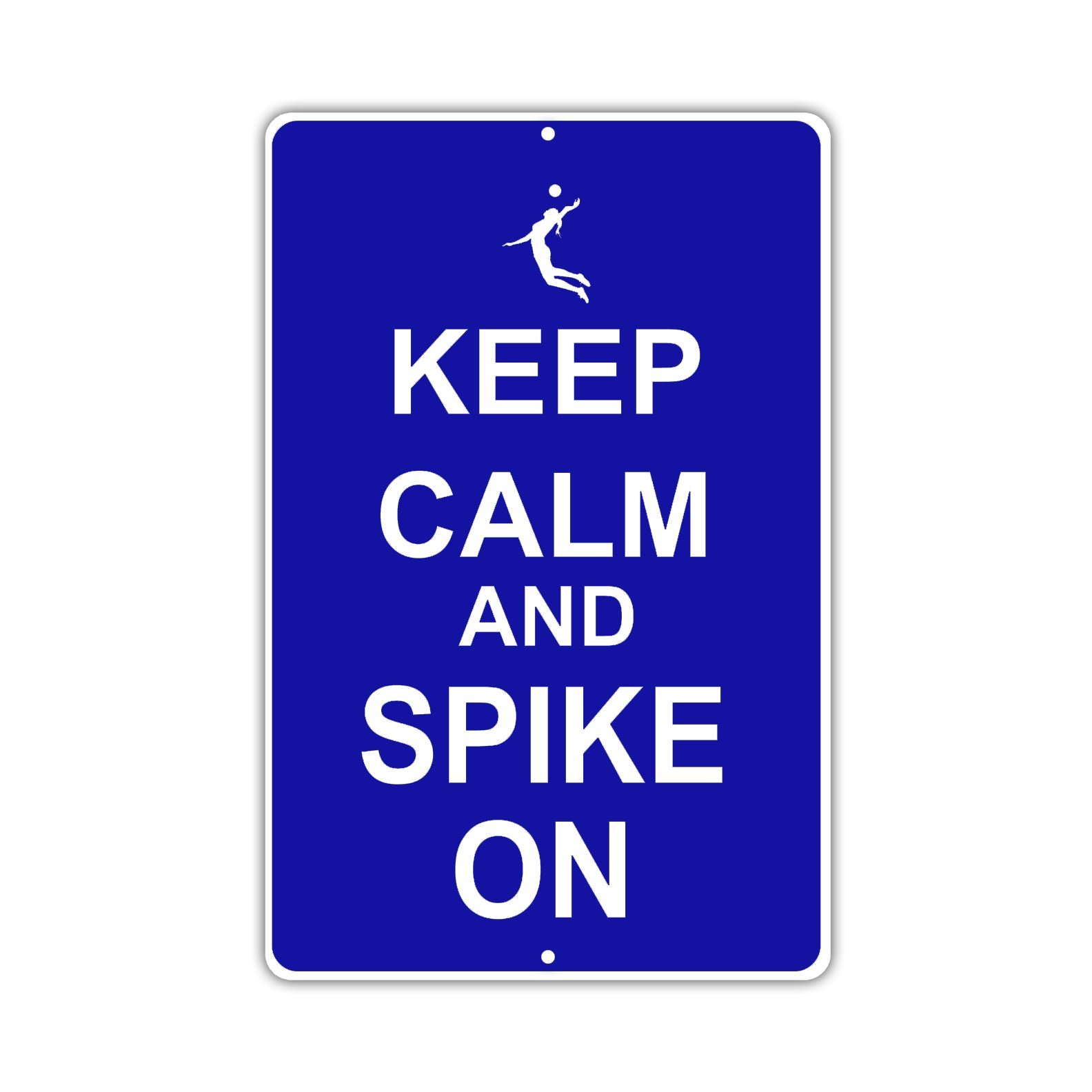 Keep Calm And Spike On With Humor Jokes Funny Gags Novelty Caution Alert Warning Aluminum Sign