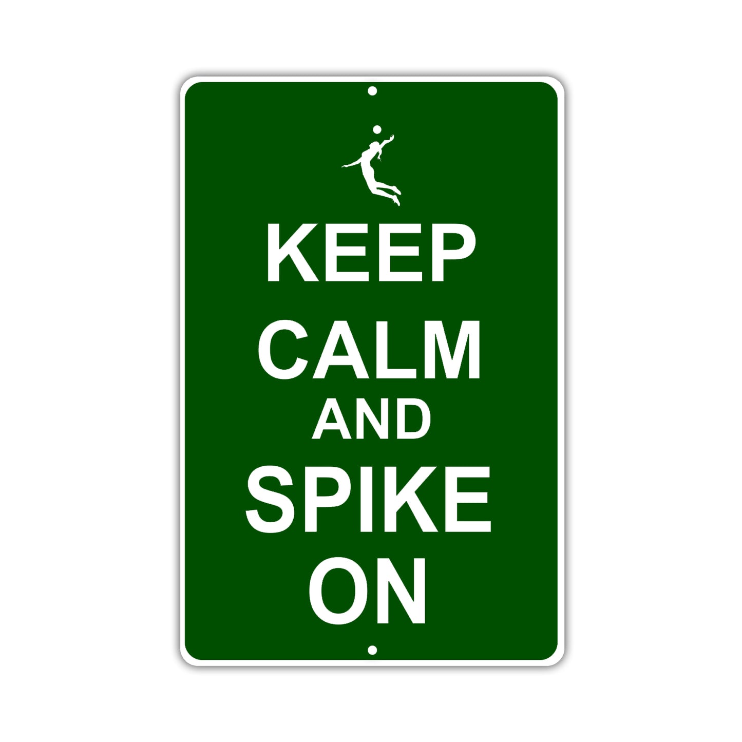 Keep Calm And Spike On With Humor Jokes Funny Gags Novelty Caution Alert Warning Aluminum Sign