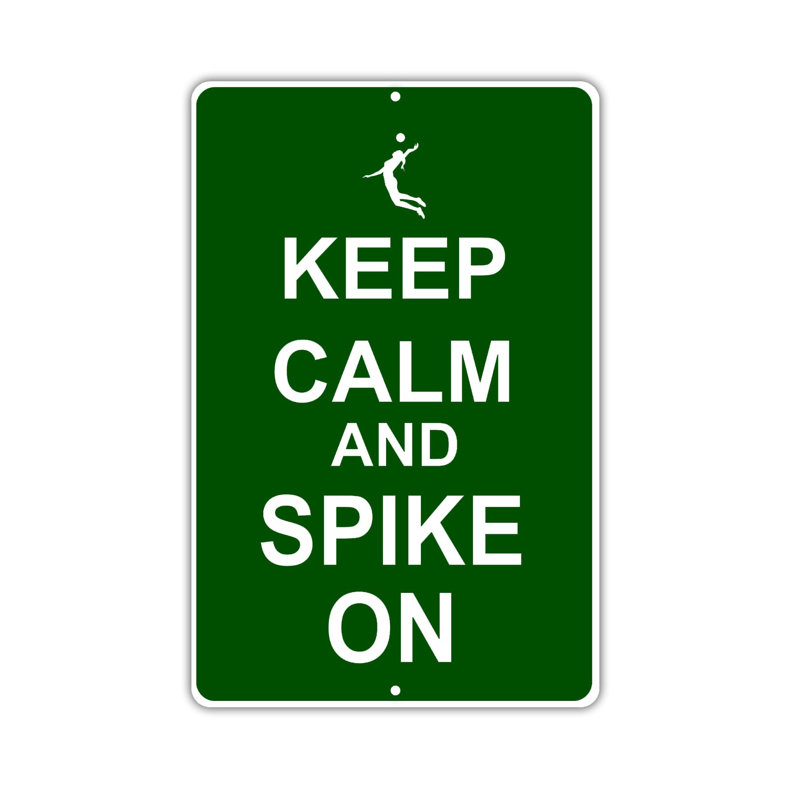 Keep Calm And Spike On With Humor Jokes Funny Gags Novelty Caution Alert Warning Aluminum Sign