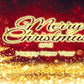 Merry Christmas And Happy New Year Coroplast Yard Sign