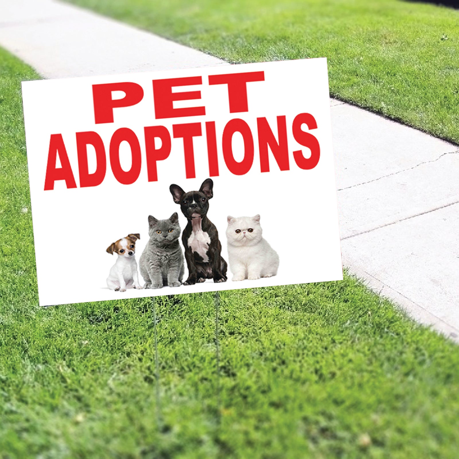 Pet adoptions coroplast yard sign