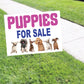 Bail Bonds Coroplast Yard Sign