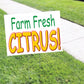 Farm Fresh Citrus Coroplast Yard Sign