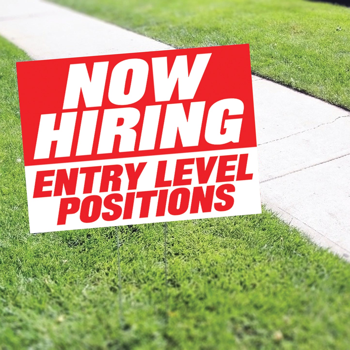 Now Hiring Entry Level Position Coroplast Yard Sign