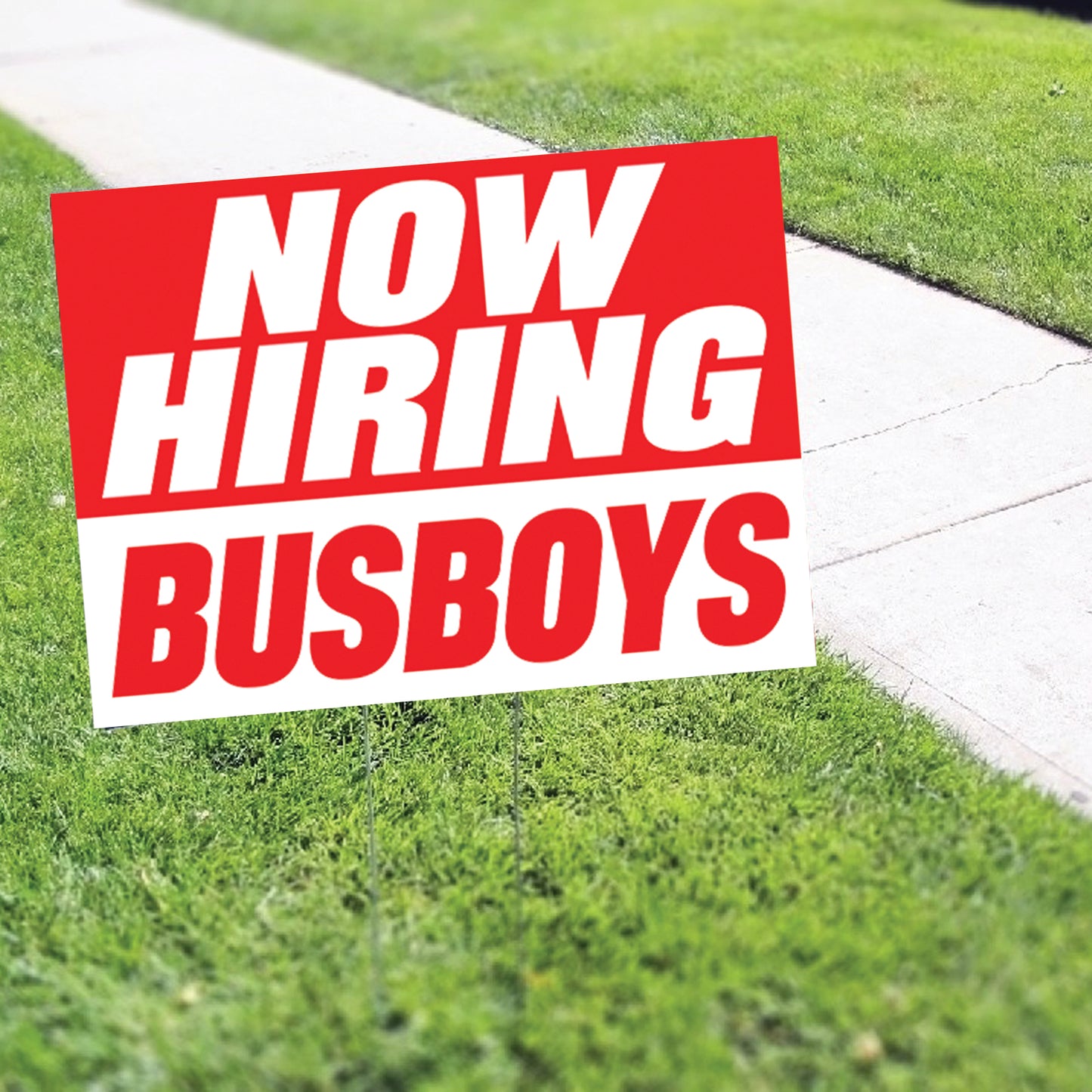 Now Hiring Bus Boy Coroplast Yard Sign