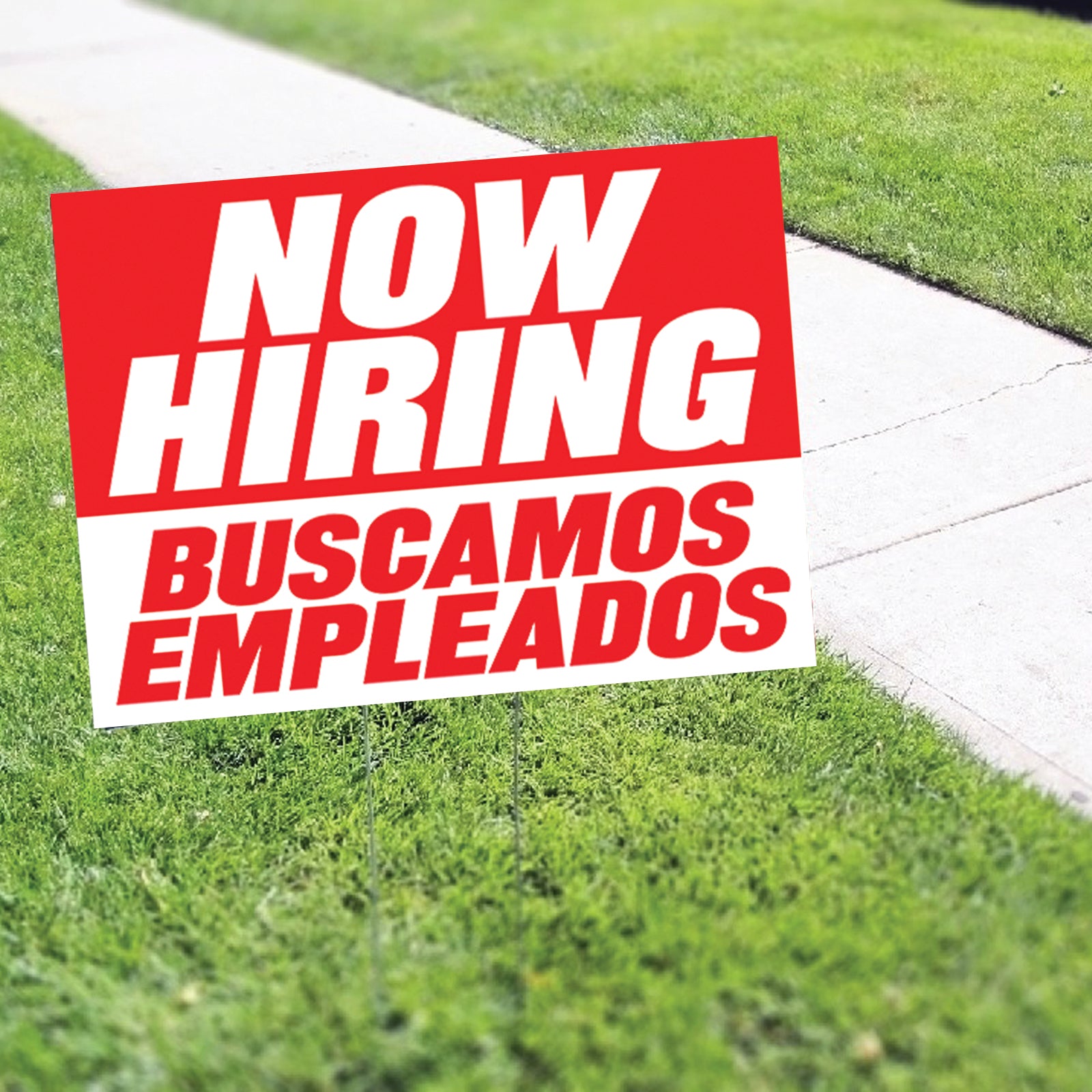 Now Hiring Buscamos  Empleados Coroplast Yard Sign