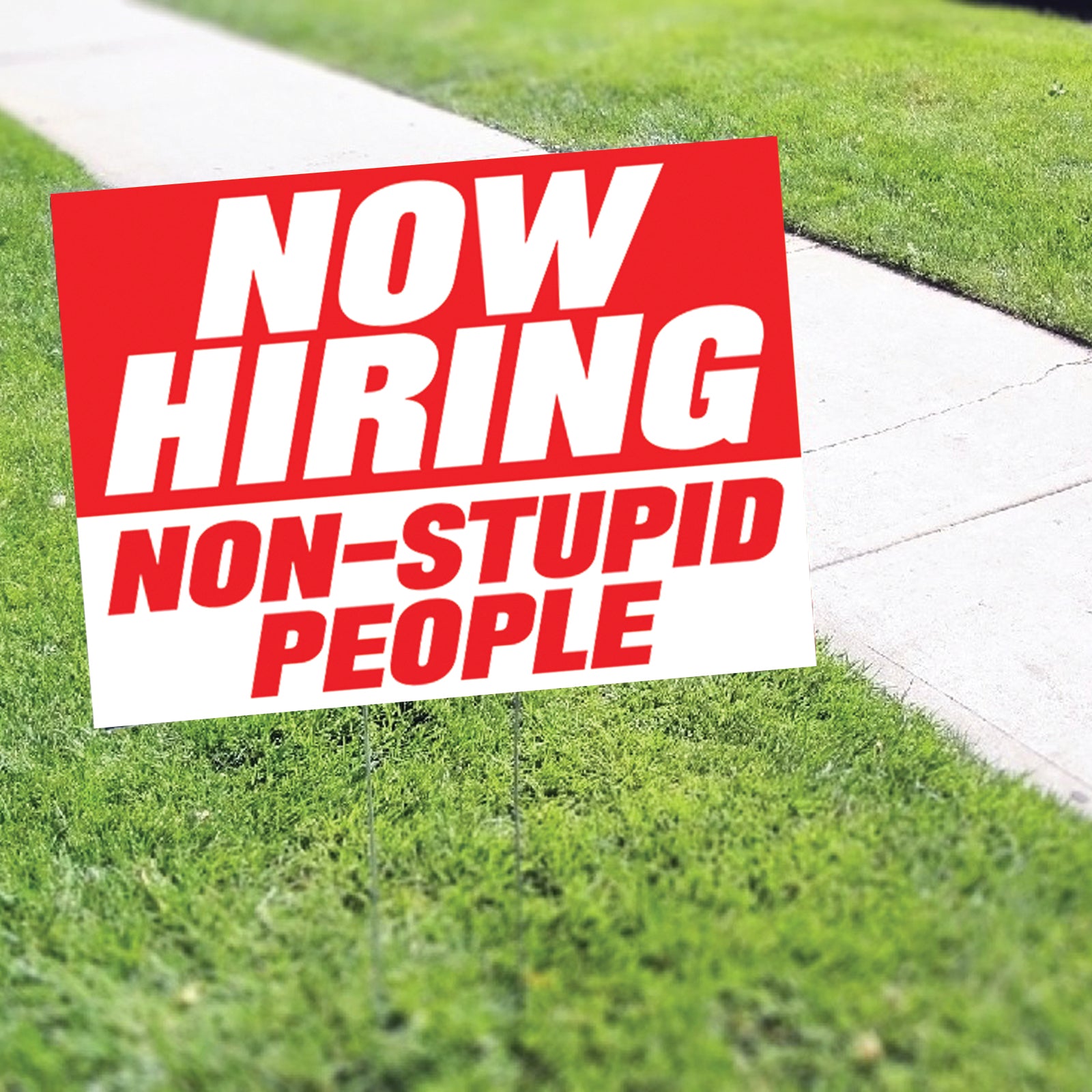 Now Hiring Non-Stupid People Coroplast Yard Sign
