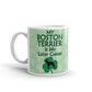 My Boston Terrier is Lucky Charm Coffee Ceramic Mug