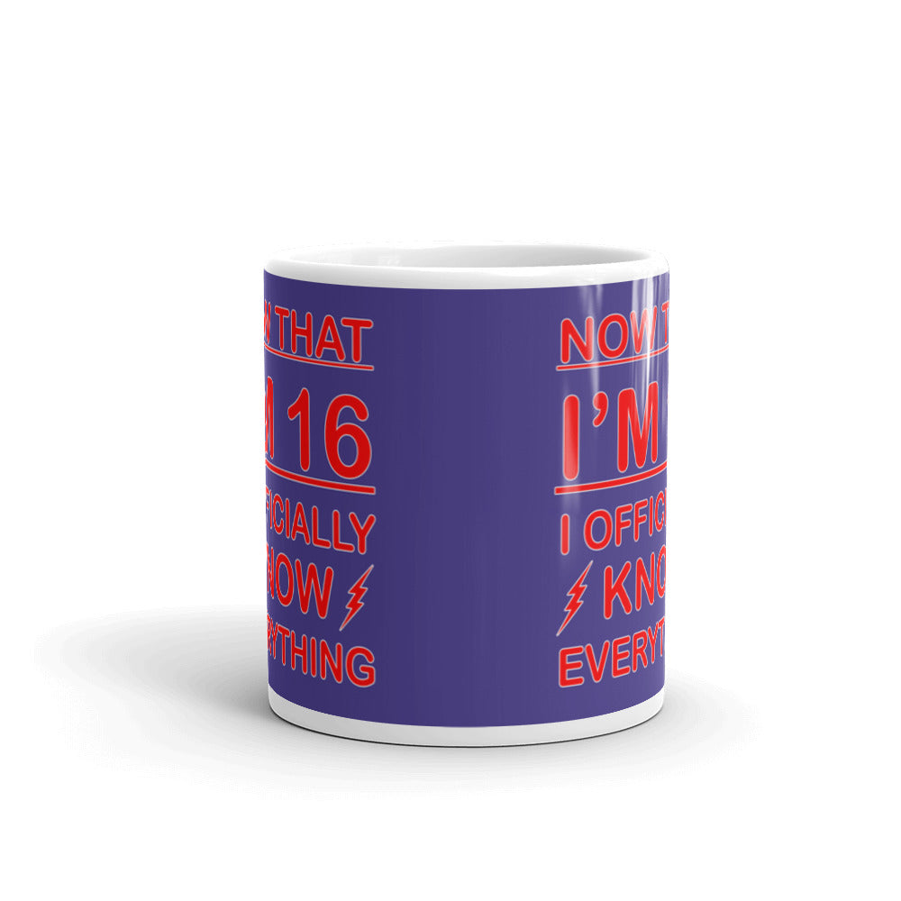 Now That I'm 16 Officially Know Everything Coffee Ceramic Mug