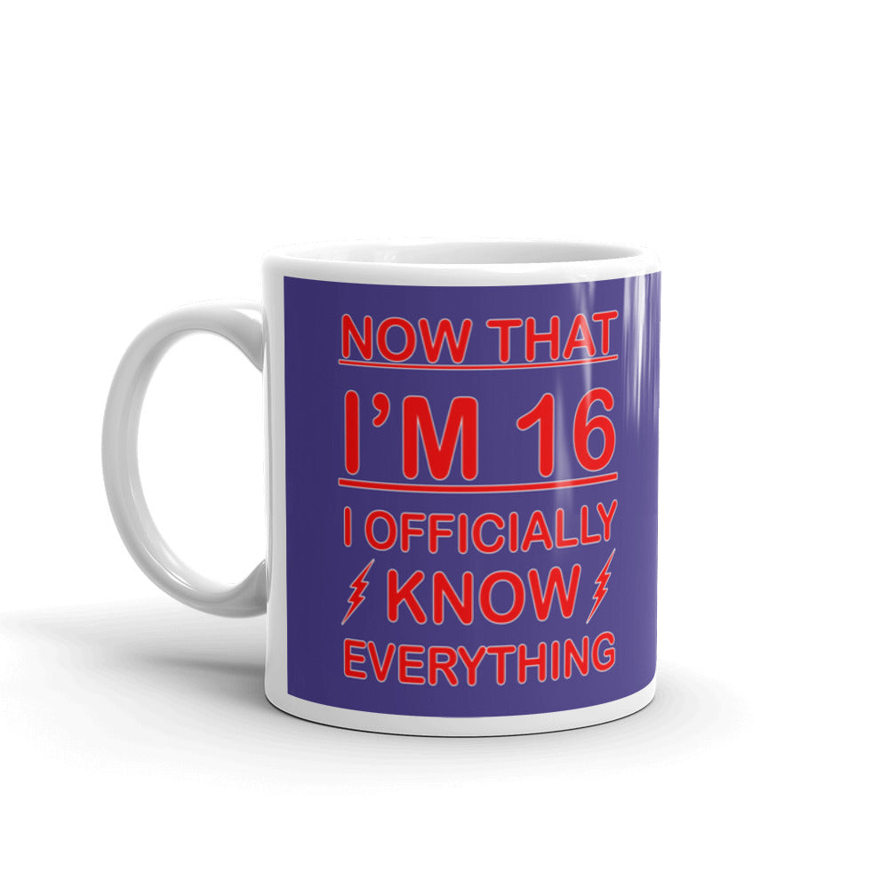 Now That I'm 16 Officially Know Everything Coffee Ceramic Mug