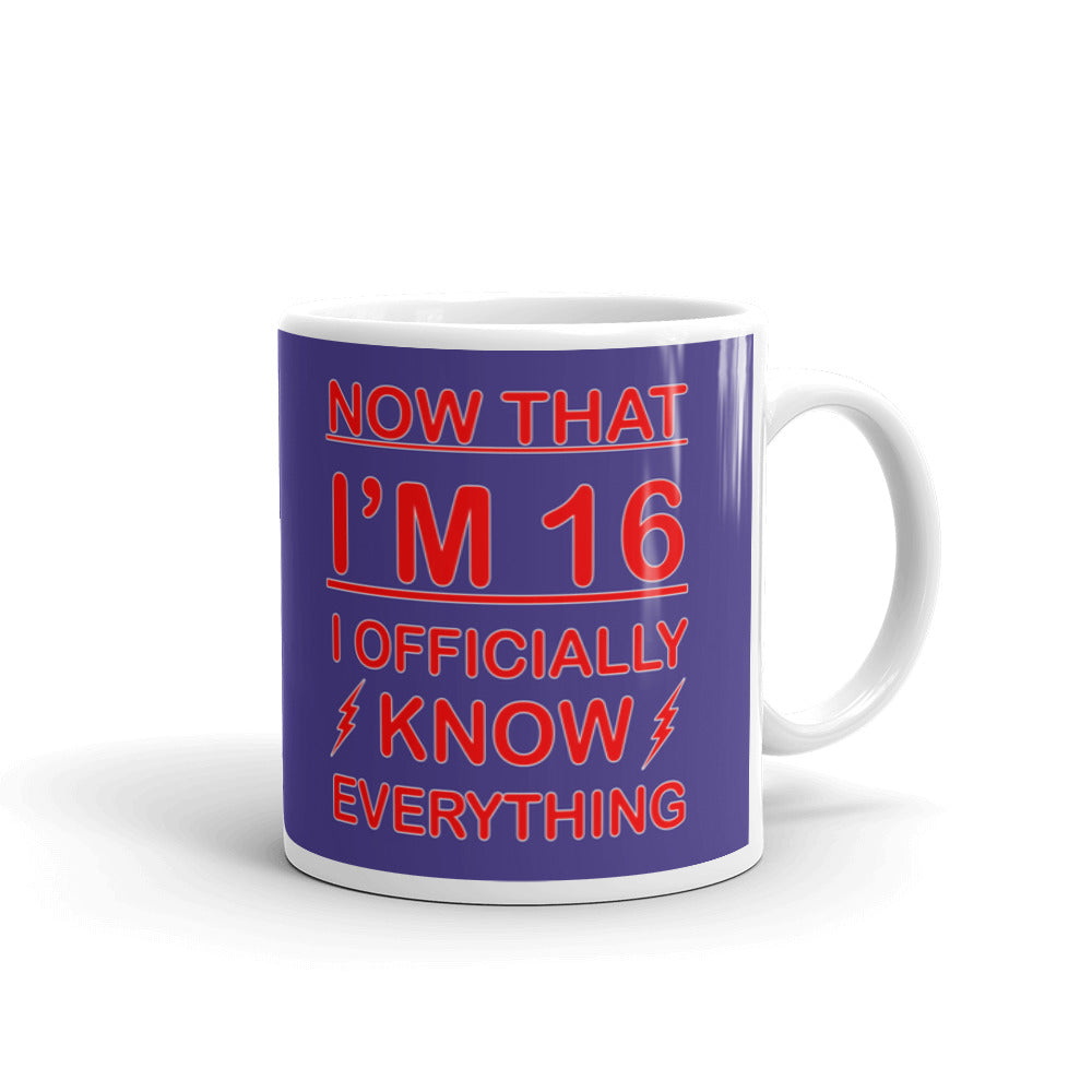 Now That I'm 16 Officially Know Everything Coffee Ceramic Mug