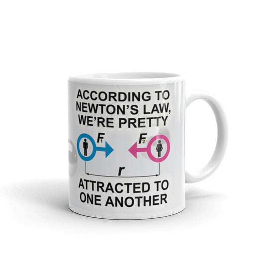According To Newton's Law We're Pretty Funny Gift Mug Coffee Tea Ceramic Mug/Cup