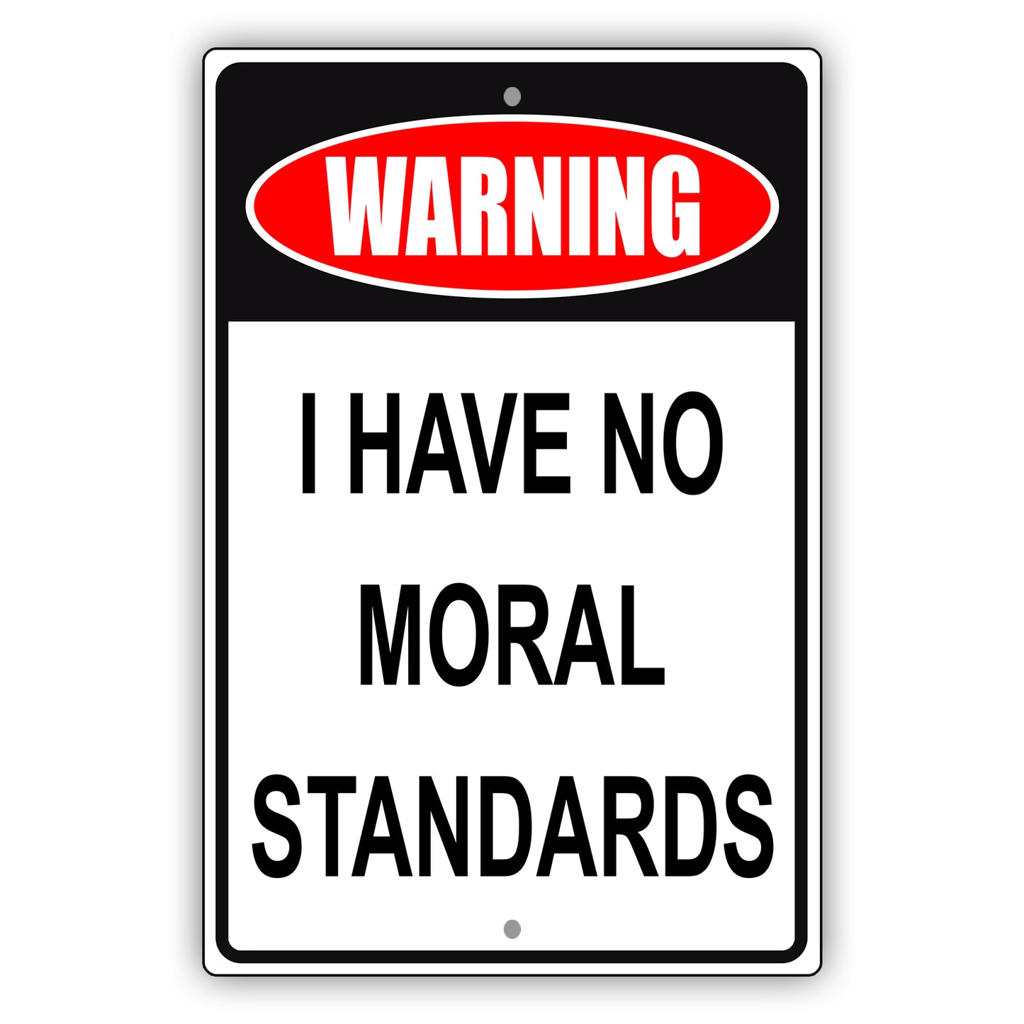 Warning I have no moral standards aluminum metal sign