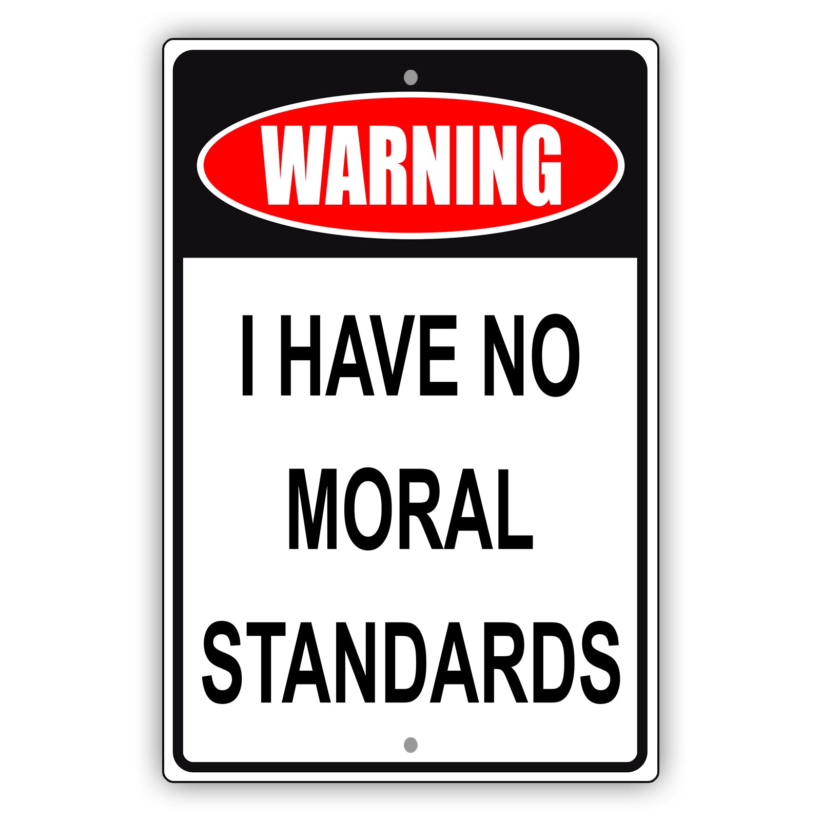 Warning I have no moral standards aluminum metal sign