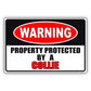 Warning property protected by a collie aluminum metal sign