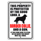 This property is protected by the good lord a border collie and a gun aluminum metal sign