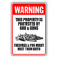 Warning This Property Is Protected By God & Guns Aluminum Metal Sign