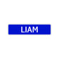 Liam Street Sign Children Name Room Plate