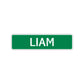 Liam Street Sign Children Name Room Plate