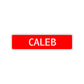 Caleb Street Sign Children Name Room Plate