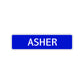 Asher Street Sign Children Name Room Plate