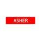 Asher Street Sign Children Name Room Plate
