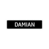 Damian Street Sign Children Name Room Plate