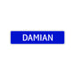 Damian Street Sign Children Name Room Plate