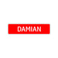 Damian Street Sign Children Name Room Plate