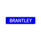 Brantley Street Sign Children Name Room Plate
