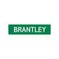 Brantley Street Sign Children Name Room Plate