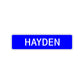 Hayden Street Sign Children Name Room Plate
